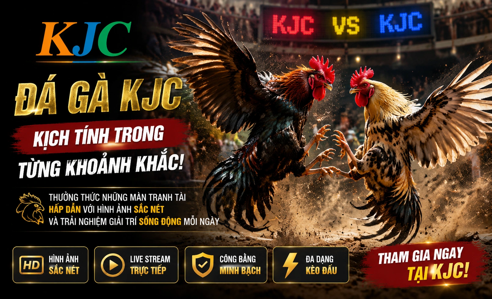 KJC Đá Gà kèo rõ